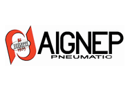 Логотип AIGNEP