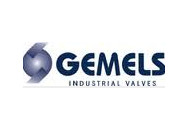 Логотип GEMELS