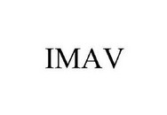 Логотип IMAV
